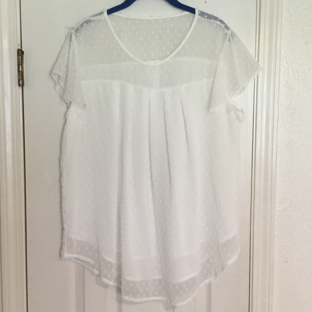 Women’s White Swiss Dot Sheer Flutter Sleeve Top
